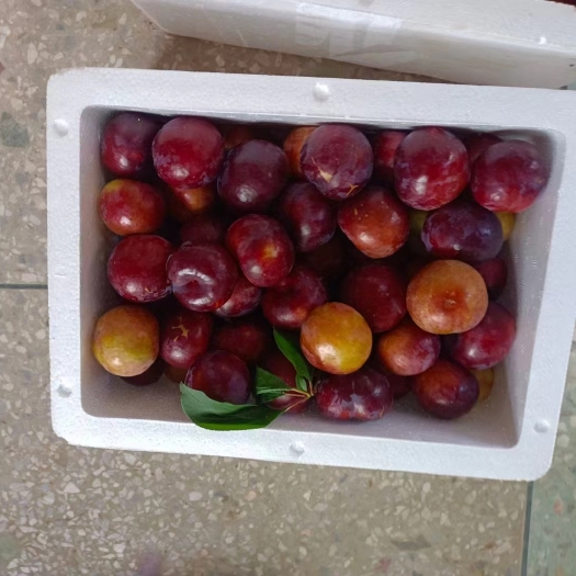 灌阳县三华李