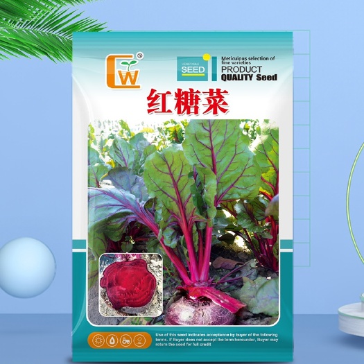 酒泉甜菜种子