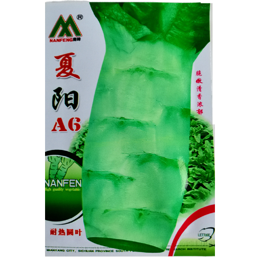 武汉夏阳莴笋种子青皮香莴笋种子良产耐热耐寒春夏秋冬蔬菜种子大全