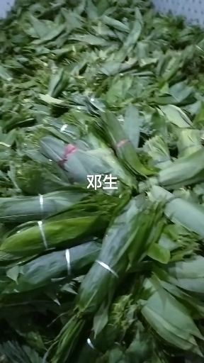遂川县江西粽叶原产地，产地批发