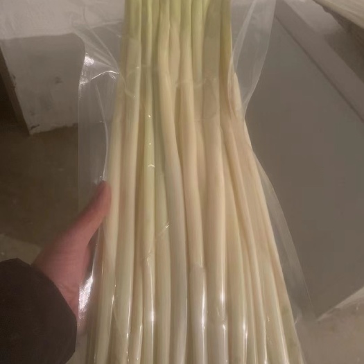 淮安蒲菜大量供应，批发零售。