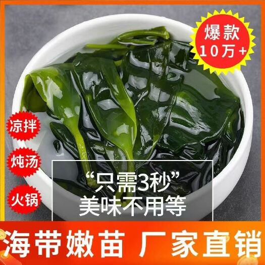 霞浦县霞浦海带苗 海带芽 源头工厂批价优发量大 海带嫩苗