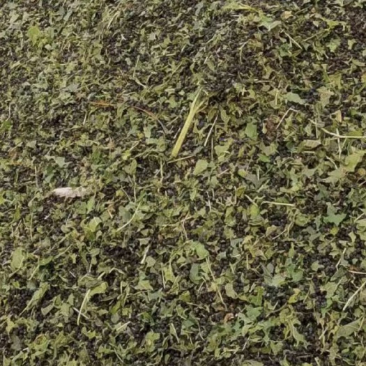 绵阳大量蚕粪供应发酵好的和未发酵好的都有