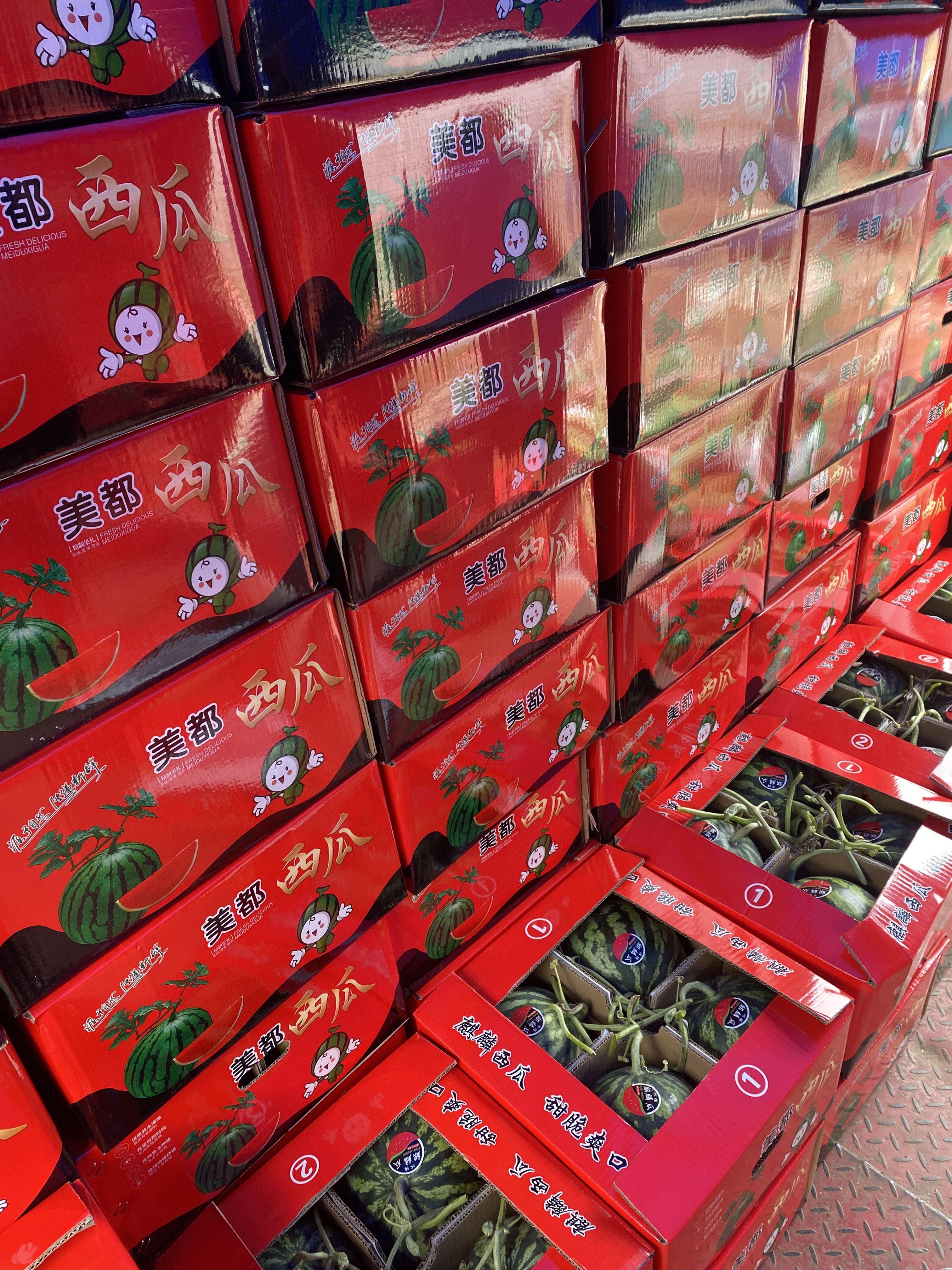 夏邑无籽美都西瓜大吨位供应，对接各大平台商超。质量保证。