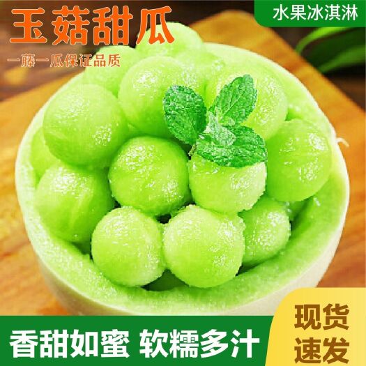 聊城玉菇甜瓜新鲜水果应季头茬现摘软糯香甜蜜瓜脆瓜香瓜批发