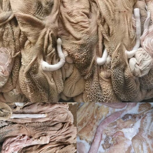 免洗羊肚
