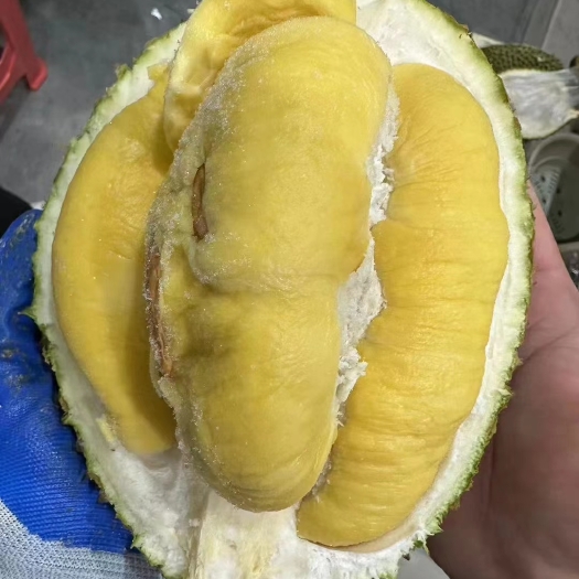广州马来西亚猫山王