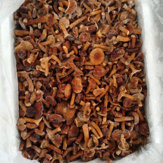 昆明各种野生食用菌，鲜品，冻品