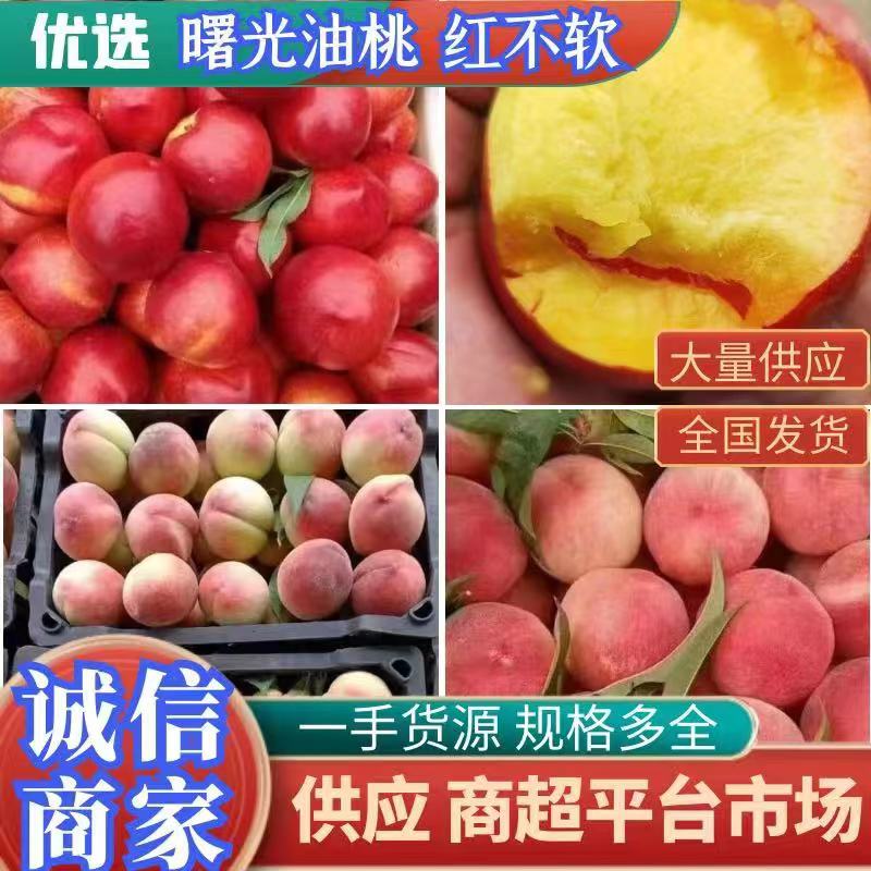 随县【桃子】湖北毛桃露天毛桃突围/春雪/红不软/蜜桃品种齐口感甜