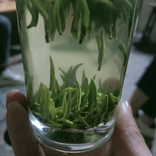 恩施市恩施玉露茶叶贡芽茶硒茶明前茶贡芽茶恩施富硒茶贡芽