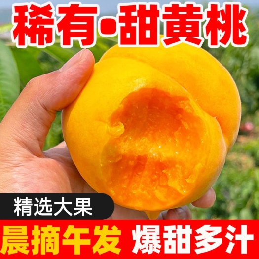 汝城县现摘现发黄桃新鲜水果黄金蜜桃子甜脆桃鲜桃孕妇应季水果黄桃包邮