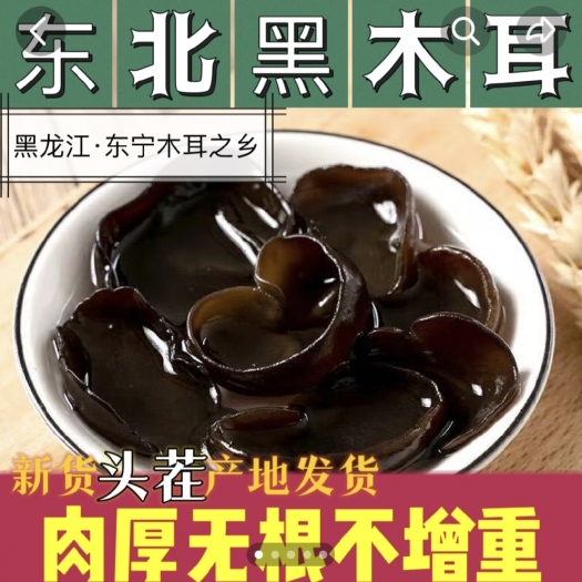 东北新货黑木耳无根肉厚2024头茬新木耳干货特产