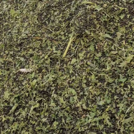 绵阳大量蚕蚕粪发酵和未发酵的大量供应