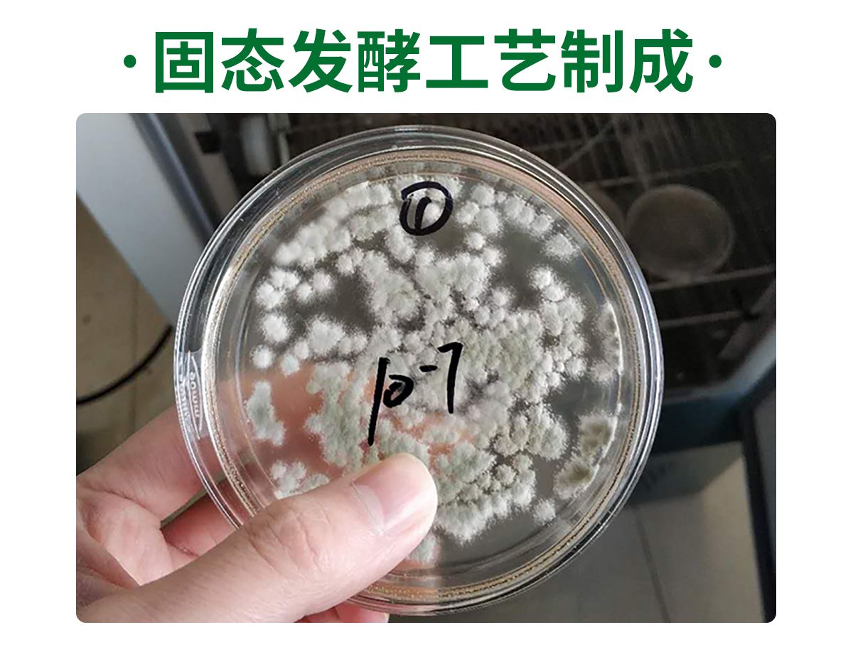 微生物有機肥  微生物肥料木霉菌蔬菜草莓大棚作物促長根部型