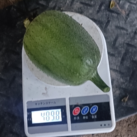 芦山县苹果丝瓜