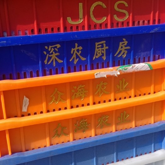 惠州胶筐