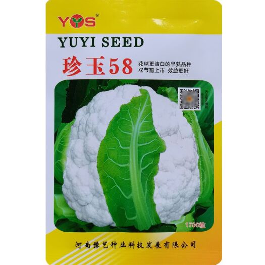 珍玉58.紧实花菜种子，抗热早熟，中秋节上市