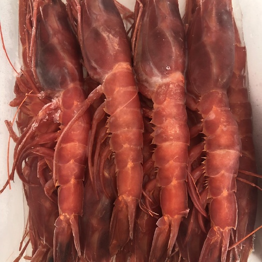 北海红魔虾。刺身级。网红虾