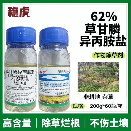 洛阳(62%草甘膦)稳虎草甘膦异丙胺盐果园园林荒地非耕地除草剂烂