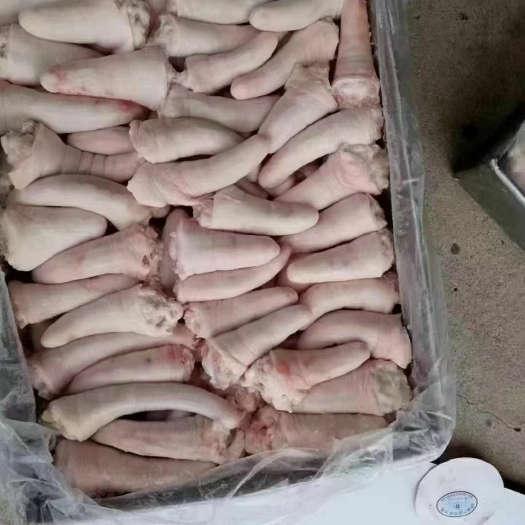 临沂母猪短尾