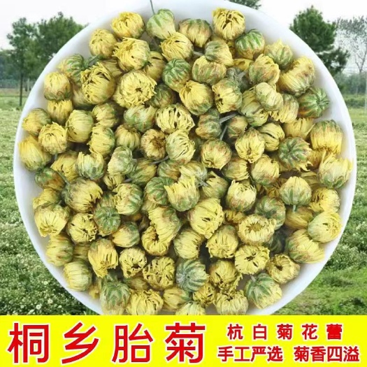 桐乡市【浙江桐乡发货】5A头茬桐乡胎菊茶杭白菊贡菊怀菊金丝皇菊包邮