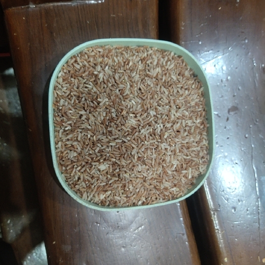陆丰市自家种植红米