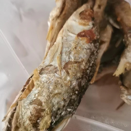 河源河源市新丰江水库青鱼干，大青片，草鱼片，大草鱼干，低价批发