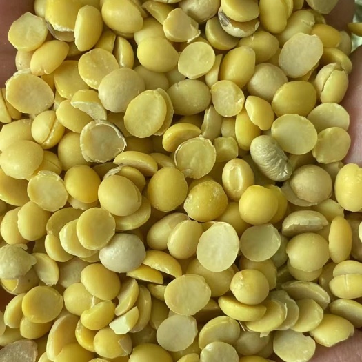 西安豆腐！豆渣！豆瓣！大豆脱皮！玉米叄加工批发