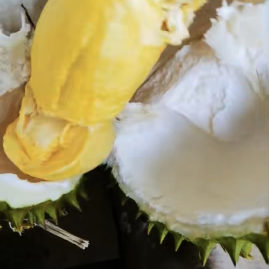 红河县干尧榴莲