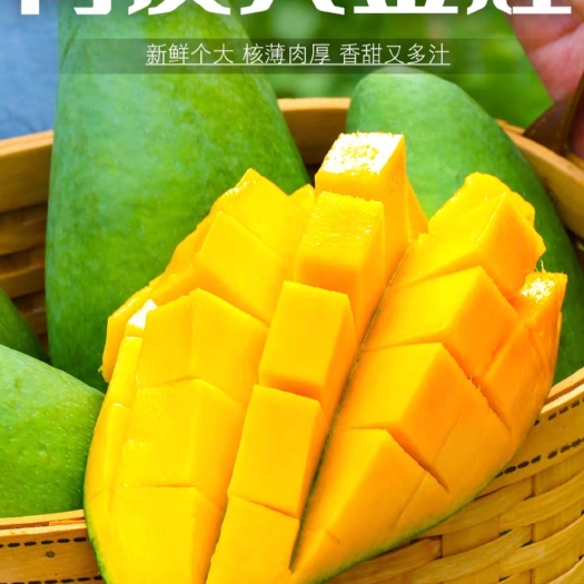 百色百色大青芒