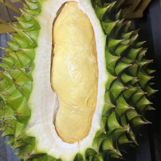 昆明干尧