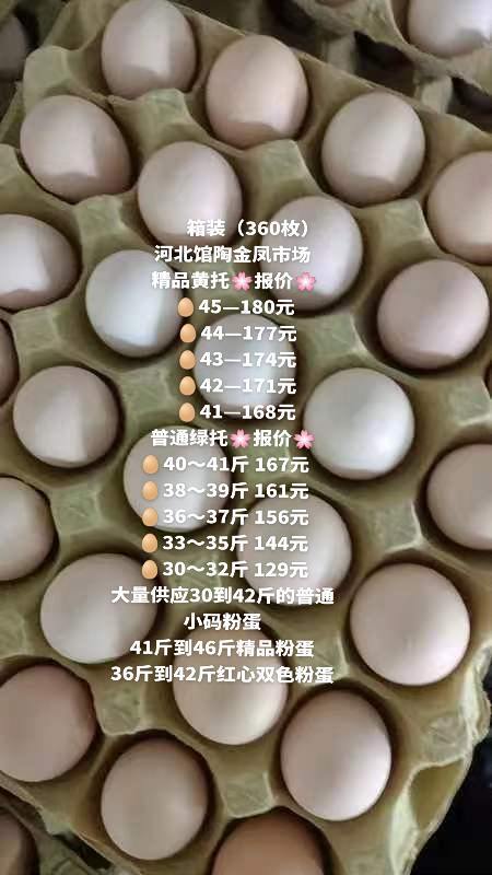 馆陶县大量供应30－41斤普通粉蛋，41－45斤精品粉蛋，需要联系