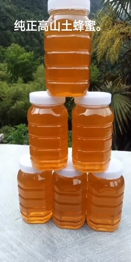 歙县天然纯正土蜂蜜，货真价实。