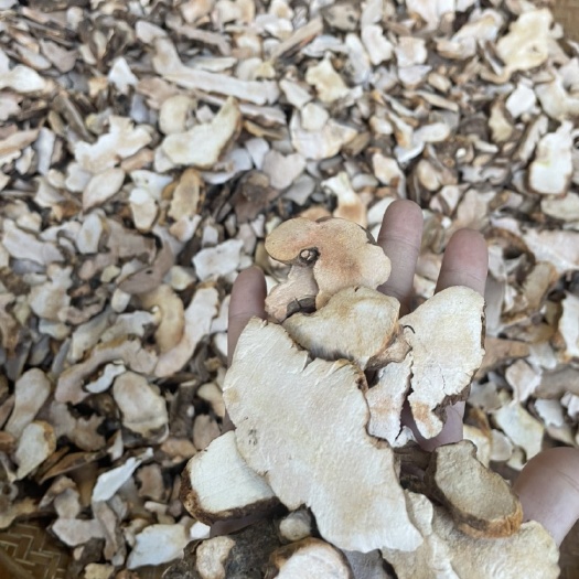 和平县河源土茯苓片粉质土茯苓片