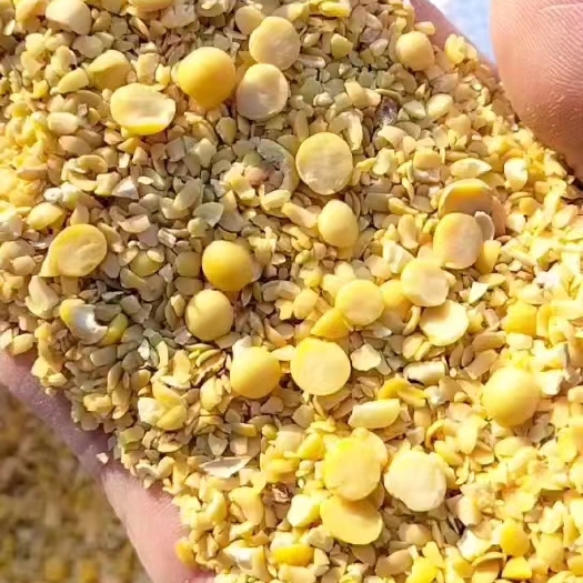 菏泽本厂常年出售碎大豆，上地肥料豆，养殖饲料豆，榨油压饼膨化豆