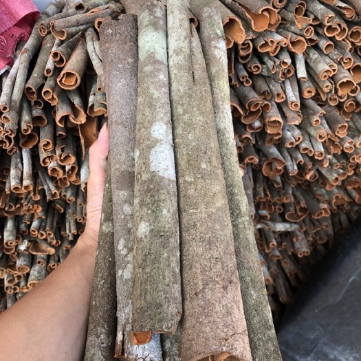 德庆县特厚桂皮