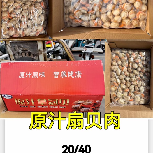 济南扇贝肉，品质好，无冰，单冻，厂家直销