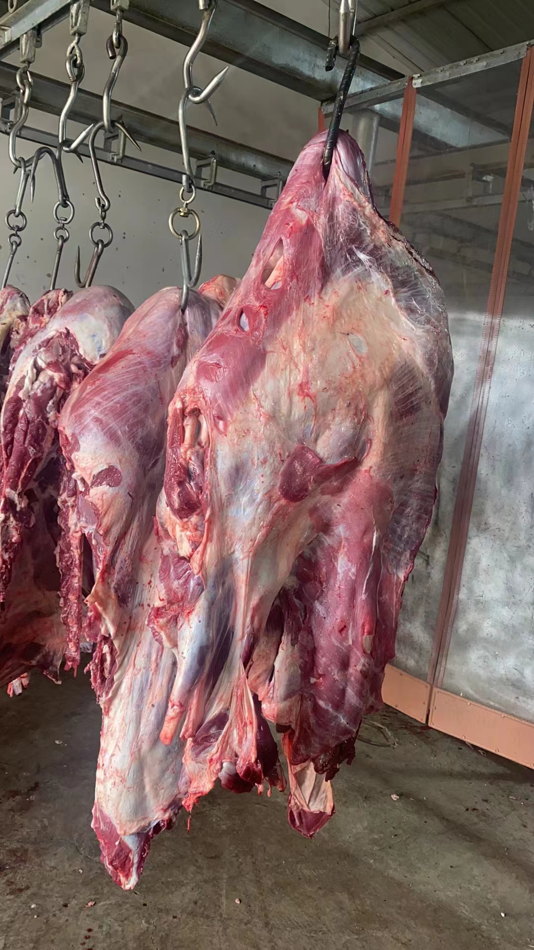 牛肉，新鲜黄牛肉