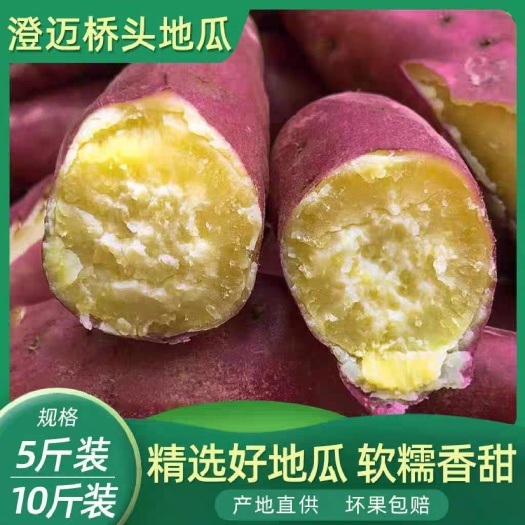 海口海南澄迈桥头富硒地瓜黄心鸡蛋黄板栗粉糯甜番薯蒸烤红薯地瓜新鲜