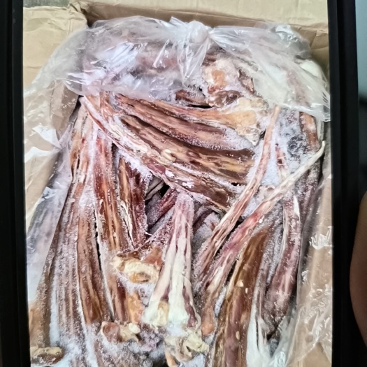 郑州拔皮尾巴