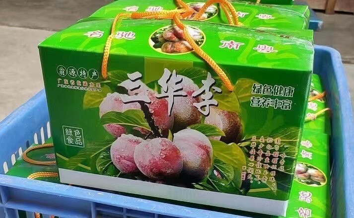 翁源县广东省韶关市翁源县三华李