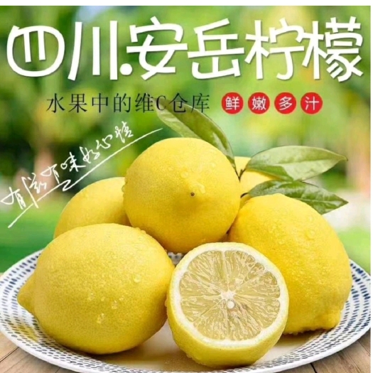 安岳县安逸尤利克柠檬