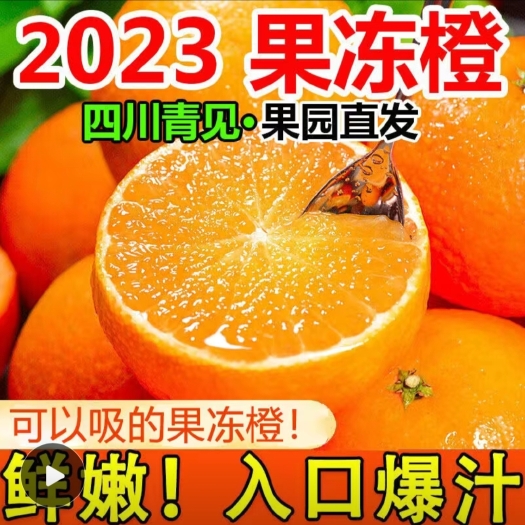 自贡[现货果冻橙]四川青见爱媛38号果冻橙特级甜薄皮手剥橙新鲜