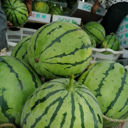 岳阳无籽西瓜，品种久田西瓜。