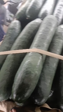 山东，临沂，兰陵县，大冬瓜，大量供应，大量接单，保质保量