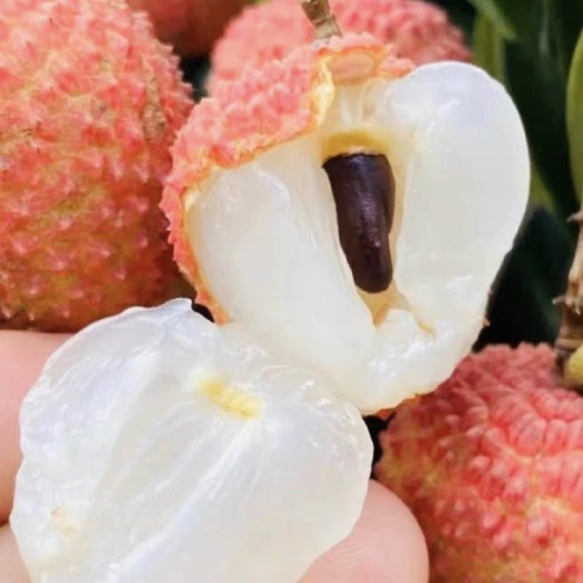高州市荔枝桂味