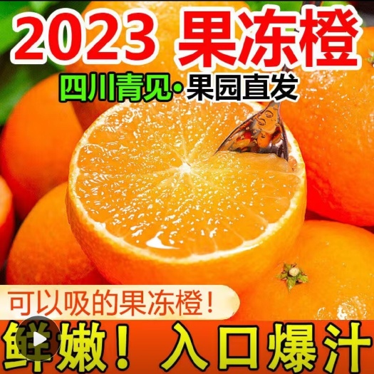 枣庄甜橙 【果冻橙】四川青见果冻橙水果批发青见柑橘皇后丑橘水果新