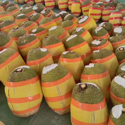 保亭县泰八红肉菠萝蜜 供应市场 社区团购 对接全国