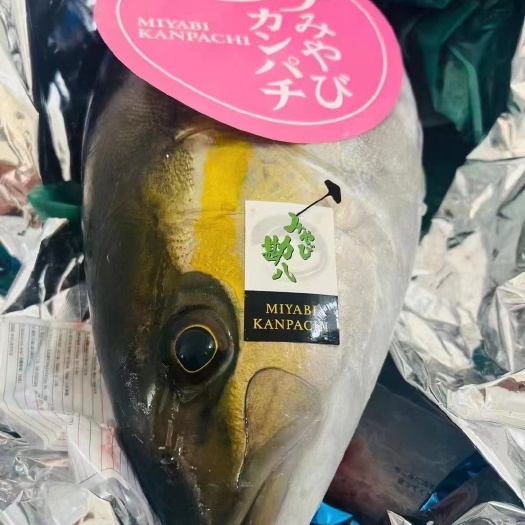 广州章红鱼/红甘鱼