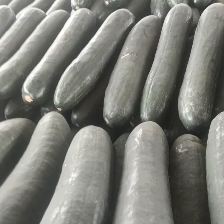 山东，临沂，兰陵县，大冬瓜，大量供应，大量接单，保质保量